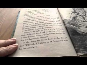 Stone Fox Chapter 10