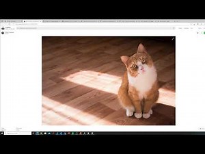 Remove image backgrounds using ⚡Azure Functions⚡ | Make your own Remove.bg API clone