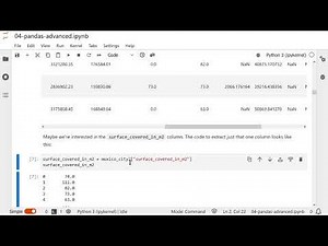 04 Pandas: Advanced 1