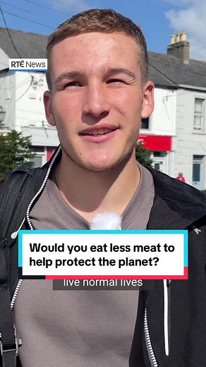 Reducing Meat Consumption for a Greener Planet