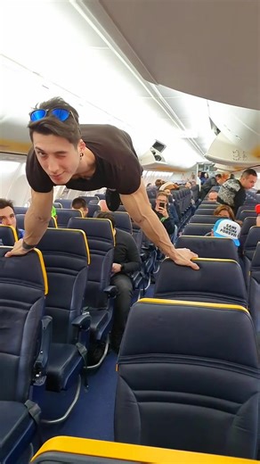 Giraffe on a Plane: A Hilarious Airport Encounter