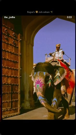 Rajasthani wedding👰💍🤵💒