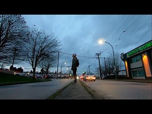 Thousands of crows roost each night in Burnaby neighbourhood - BC News