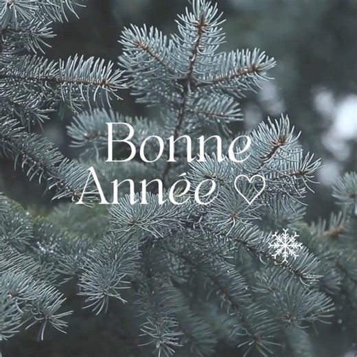 ✨ Belle année 2024 ✨ | Mathilde M.