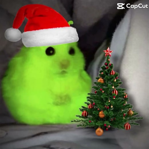 Alien hamster 🐹 🔥