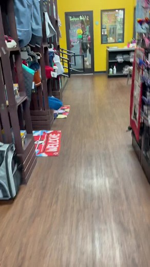 #dogdays of #Delta means spa day with @ezwalking 💗 @swiftkick23 #hollywoodfeed