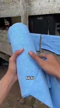 Lap Kotor? Tinggal Sobek, Ambil Baru!