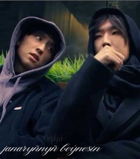 Understanding the Alpha Personality Type