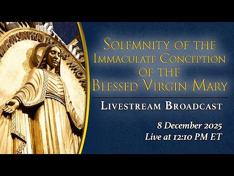 Solemnity of the Immaculate Conception – December 8, 2025