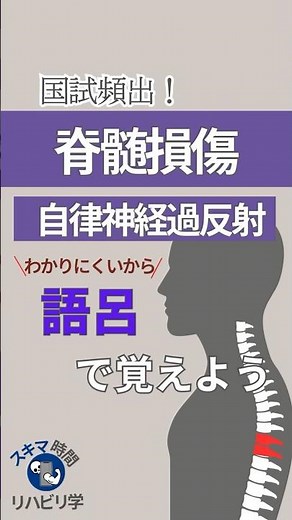 【語呂で覚える国試】脊髄損傷の自律神経過反射を語呂で覚えよう！#理学療法士国家試験 #作業療法士国家試験#理学療法士 #作業療法士 #基礎 #勉強 #語呂 #臨床実習 #脊髄損傷 #自律神経過反射