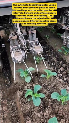 Automated Seedling Planter: Revolutionizing Modern Agriculture