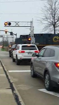 CSX Train seaboard system logo on nose of 2nd engine mentor Ohio. friendships song