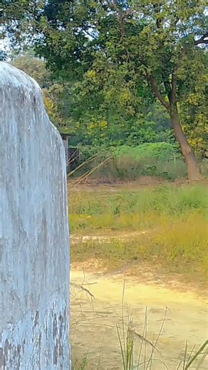 ɪɴꜱᴛᴀʀ ᴏꜰꜰɪᴄɪᴀʟ on Instagram: "𝙏𝙝𝙚 𝙃𝙤𝙣𝙙𝙖 𝘾𝙞𝙫𝙞𝙘 𝙏𝙮𝙥𝙚 𝙍 𝙞𝙨 𝙖 𝙝𝙞𝙜𝙝𝙥𝙚𝙧𝙛𝙤𝙧𝙢𝙖𝙣𝙘𝙚 𝙫𝙖𝙧𝙞𝙖𝙣𝙩 𝙤𝙛 𝙩𝙝𝙚 𝙃𝙤𝙣𝙙𝙖 𝘾𝙞𝙫𝙞𝙘 𝙠𝙣𝙤𝙬𝙣 𝙛𝙤𝙧 𝙞𝙩𝙨 𝙨𝙥𝙤𝙧𝙩𝙮 𝙘𝙝𝙖𝙧𝙖𝙘𝙩𝙚𝙧𝙞𝙨𝙩𝙞𝙘𝙨 𝙖𝙣𝙙 𝙧𝙖𝙘𝙞𝙣𝙜 𝙝𝙚𝙧𝙞𝙩𝙖𝙜𝙚 𝙆𝙚𝙮 𝙛𝙚𝙖𝙩𝙪𝙧𝙚𝙨 𝙤𝙛 𝙧𝙚𝙘𝙚𝙣𝙩 𝙢𝙤𝙙𝙚𝙡𝙨 𝙞𝙣𝙘𝙡𝙪𝙙𝙚 1. * 𝙀𝙣𝙜𝙞𝙣𝙚*: 𝘼 𝙩𝙪𝙧𝙗𝙤𝙘𝙝𝙖𝙧𝙜𝙚𝙙 𝙡𝙞𝙩𝙚𝙧 𝙞𝙣𝙡𝙞𝙣𝙚𝙛𝙤𝙪𝙧 𝙚𝙣𝙜𝙞𝙣𝙚 𝙩𝙮𝙥𝙞𝙘𝙖𝙡𝙡𝙮 𝙥𝙧𝙤𝙙𝙪𝙘𝙞𝙣𝙜 𝙖𝙧𝙤𝙪𝙣𝙙 𝙝𝙤𝙧𝙨𝙚𝙥𝙤𝙬𝙚𝙧