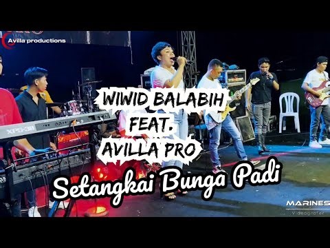 Setangkai Bunga Padi - Wiwid Balabih feat. Avilla Pro