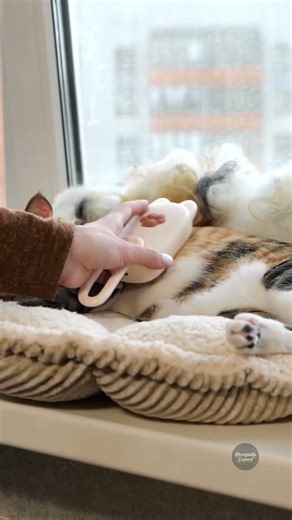 DIY Yarn From Nature 🌱 Turn Plants Into Thread! 🧶