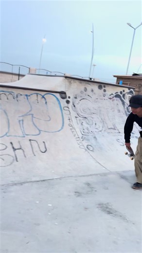 Exploring Simple Skateboarding Techniques at the Skatepark