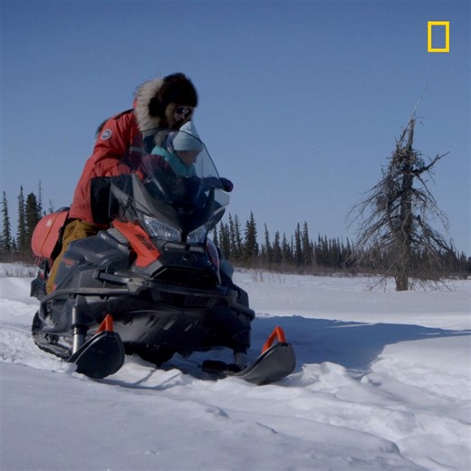 22K views · 1.2K reactions | In an environment as harsh as this, knowing how to build a shelter is an essential survival skill 略 Catch the newest #LifeBelowZero tonight at 8/7c on National Geographic TV! | Life Below Zero | Facebook