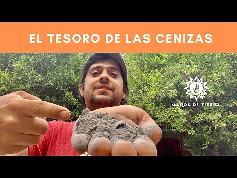 LOS GRANDES BENEFICIOS DE LAS CENIZAS EN EL HUERTO Y JARDÍN