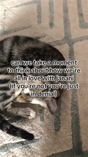 i forgot how to make videos im sorry #jananikjha #help #janani #aphrodite #weirdhills #idontknowwhatimdoingwithmylife