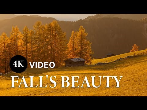 2 Hours of Fall Guitar Music: 4K Autumn Scenes for Relaxation & Inspiration