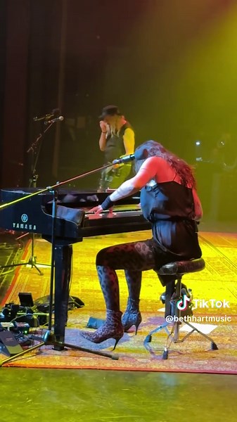 Live Music Performance by Singer-Songwriter