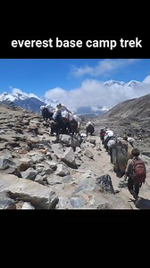 everest base camp trek #trekkinginnepal #everestbasecamptrek | Trekking In Nepal