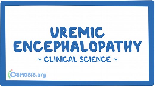 Uremic encephalopathy: Video & Meaning | Osmosis