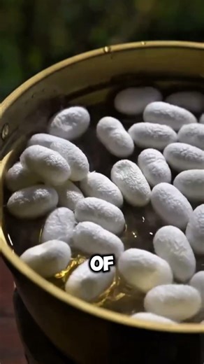 How Natural Silk Is Collected in China