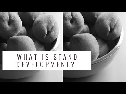 What Is Stand Development?