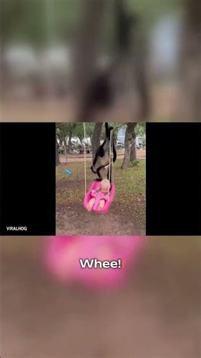 These Viral Animal Clips Will Break You! 😂