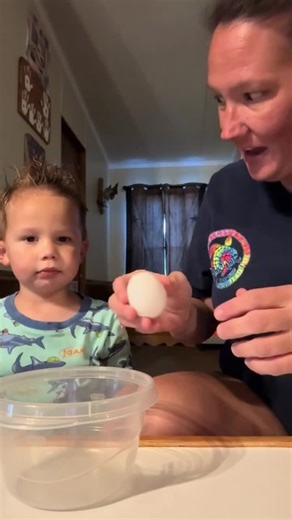 Egg Cracking Prank Compilation - Funny Egg Pranks Video