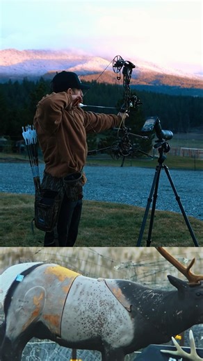 Sunset rep. Lighted Nock.