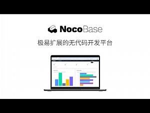 极易扩展的无代码开发平台！3分钟快速了解 NocoBase