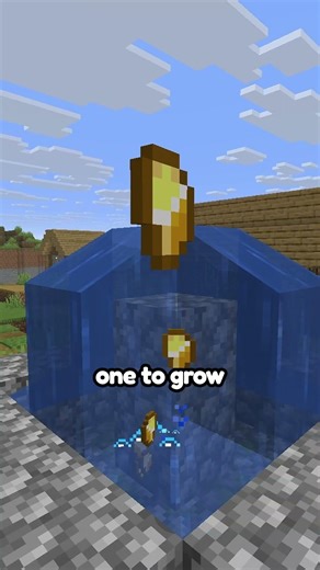 Minecraft's Tallest Cactus is CRAZY