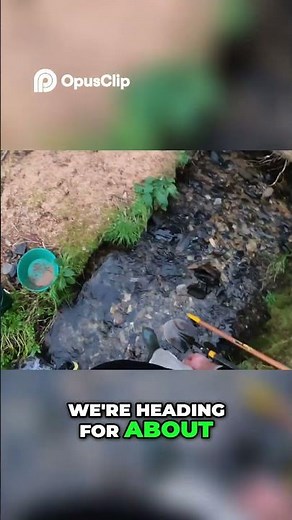 Finding GOLD! Sunset Gold Panning Adventure