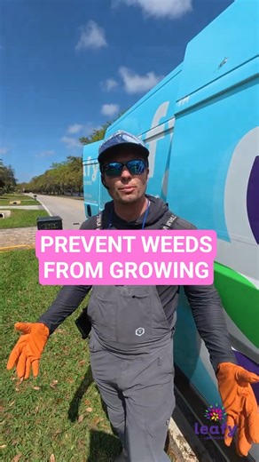 Prevent weeds instead of killing them