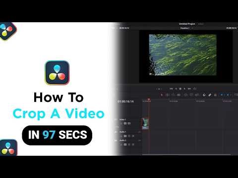 How to Crop A Video on Davinci Resolve [NEW]
