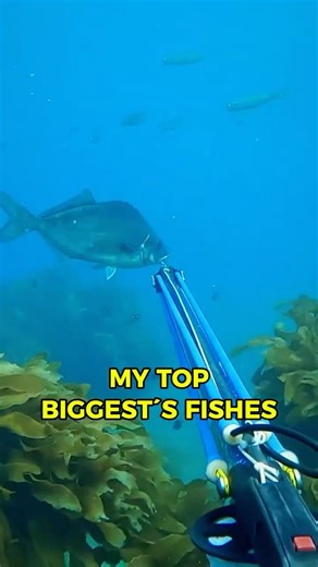 MY TOP BIGGEST´S FISHES 🐟🙏🏻 #fishing #shorts #viral #fish #spearfishing