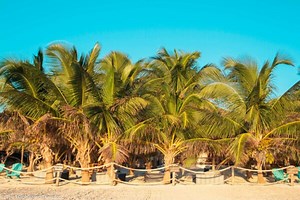 Affordable Tulum: 6 Steps to Beach Bliss on a Budget