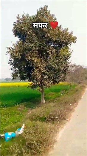 सफर ❤️ #shorts #viral