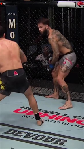 Exciting UFC Moments in MMA and Boxing Highlights