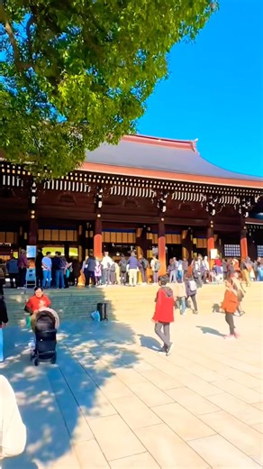 明治神宮：東京の真ん中に広がる永遠の杜。大鳥居と静寂の参道を歩く癒やしの旅🌿 Meiji Jingu Shrine: A Serene Forest in the Heart of Tokyo.