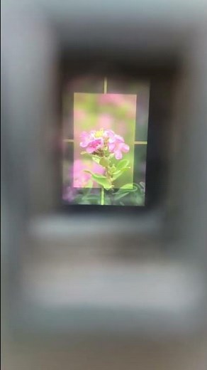 I've never seen a viewfinder like this before... Sigma SD10 Foveon DSLR