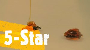 Compatible 910XL Ink Cartridge Replacement for HP Officejet Pro 8025e/8035e/8025/8035 Series, Black, Cyan, Magenta, Yellow, 4-Pack