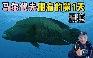 《环球探海记》马尔代夫 第3天：没想到疫情期间的马代船宿，依旧如此火爆！