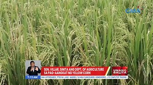 12K views · 167 reactions | Matapos sitahin ang Bureau of Animal Industry sa patuloy na pag-aangkat ng karne ng baboy, ang Department of Agriculture naman ang nagisa ni Senator Cynthia Villar dahil naman sa pag-import ng mais. Mag-subscribe sa GMA News Youtube (youtube.com/gmanews) para sa pinakamalalaking balita. | GMA News | Facebook