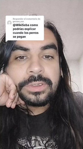 ¿Por qué los perros se quedan pegados al aparearse? Explicación detallada