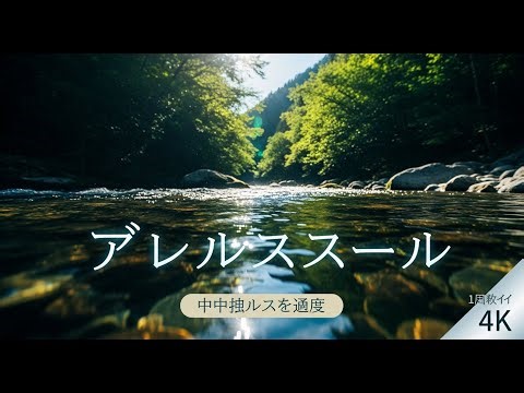 昼の清流 - 心を洗う透き通った水の音ASMR【自然音・リラックス・集中・癒しBGM】