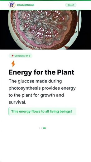 🌱 Nutrition in Plants 🌱 | Class 7 Biology #Shorts