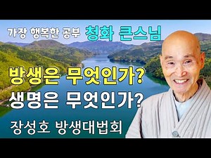 방생은 무엇인가? 생명은 무엇인가? | 청화스님 법문 장성호 방생법회 19931024